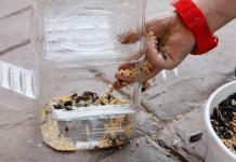 Urob si sám kŕmidlo pre vtáky z plastových fliaš: hodné použitia nepotrebných vecí