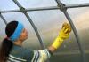What can be done in a greenhouse in early spring How to properly prepare a greenhouse for planting