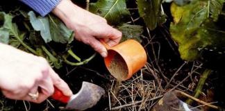 Koja su gnojiva potrebna za vrt?