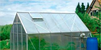 Greenhouse: how to build it yourself - theory, designs, diagrams, manufacturing principles