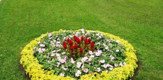The deceptive modesty of round flower beds - how to add a bright twist to your country landscape