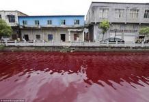 Why does water around the world turn blood red?