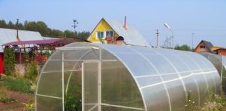 DIY fóliás üvegházak: összeszerelési útmutató