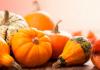 Dried pumpkin: how to dry pumpkin for the winter at home