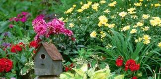 DIY flowerbed in the country for beginners