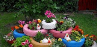 How to make a beautiful flowerbed at your dacha with your own hands