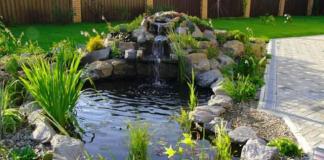 What can be done to prevent the water in the pond from blooming?