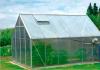 Greenhouse: how to build it yourself - theory, designs, schemes, manufacturing principles