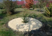 Materials for mulching trees and shrubs