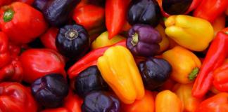 When to remove peppers from the garden?