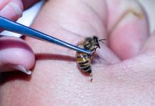 Θεραπεία από μέλισσες με σύγχρονες μεθόδους και λαϊκές θεραπείες Γιατί δεν συνιστάται να πίνετε αλκοόλ ενώ υποβάλλονται σε μια πορεία αποθεραπείας