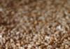 Uslovi skladištenja semena pšenice