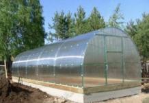 We select the right foundation for the greenhouse and build it with our own hands