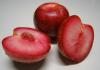 Hybrids of plum, apricot and peach: names and descriptions of new fruits