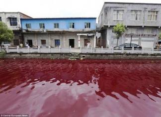 Perché l'acqua nel mondo diventa rosso sangue?