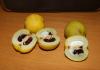 Japanese quince: pagtatanim at pangangalaga, paglalarawan ng mga varieties Anong taon namumulaklak ang Japanese quince?