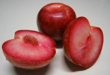 Hybrids of plum, apricot and peach: names and descriptions of new fruits