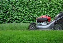 How to care for a turf lawn throughout the year