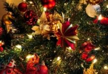 Neden dekore edilmiş büyük Noel ağaçlarını hayal ediyorsunuz?