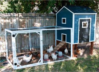 How to build a chicken coop at the dacha with your own hands for the summer from scrap materials?