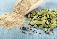 Cardamom - beneficial properties and contraindications of the three doshas Useful properties of cardamom for the human body