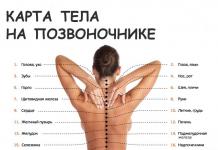 La struttura delle strutture ossee della colonna vertebrale umana: di cosa è responsabile ciascuna vertebra, malattie con danni alle sezioni della colonna di supporto.