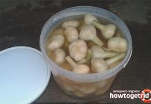 Salted garlic: useful harvesting tips