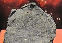 Fatti sul meteorite Post di Meteora