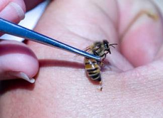 Leczenie przez pszczoły nowoczesnymi metodami i środkami ludowymi Dlaczego nie zaleca się picia alkoholu podczas apiterapii
